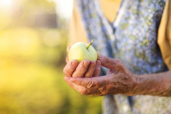 Nutrição nos idosos e pessoas acamadas